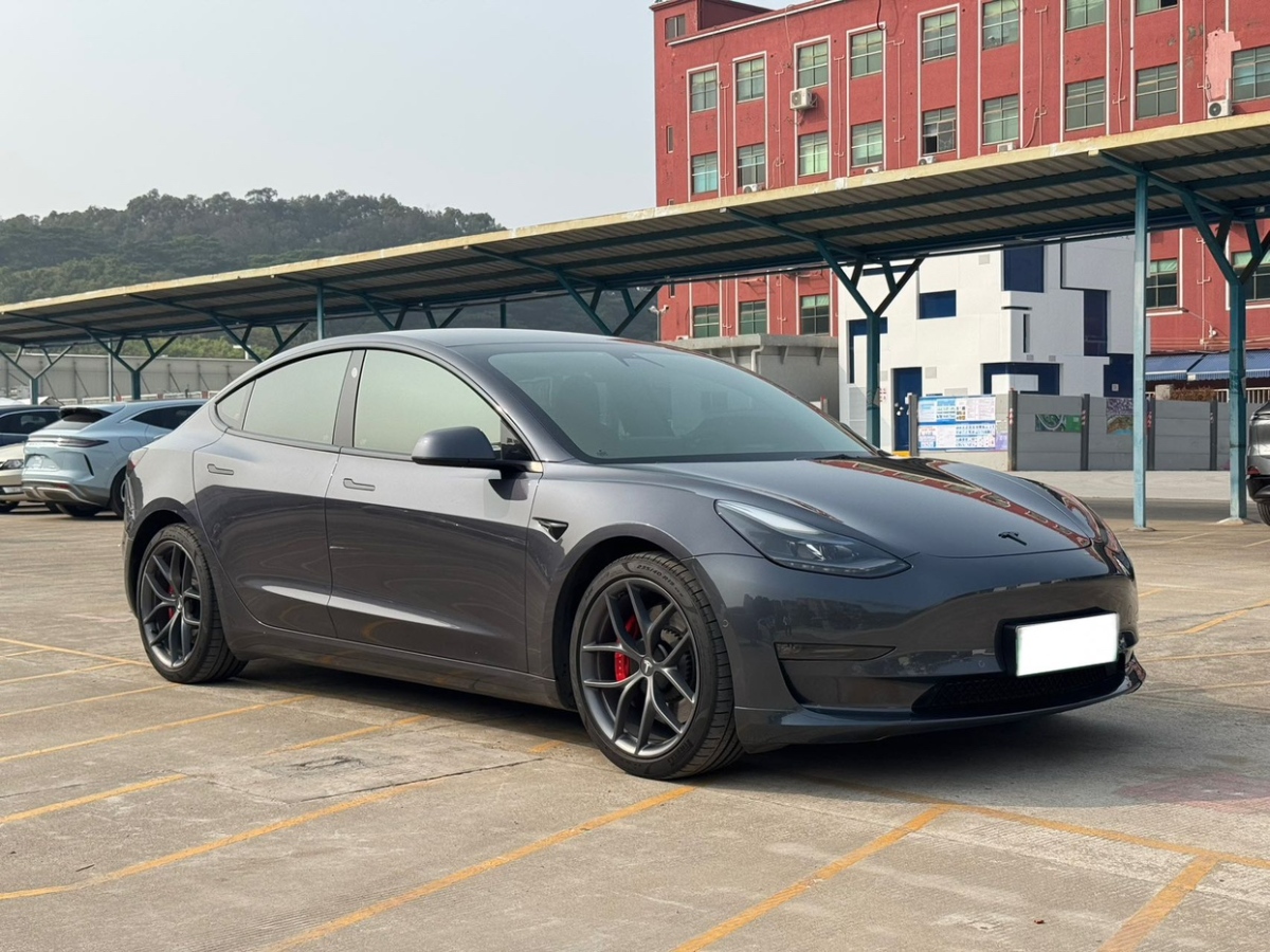 特斯拉 Model 3  2019款 Performance高性能全輪驅(qū)動版圖片