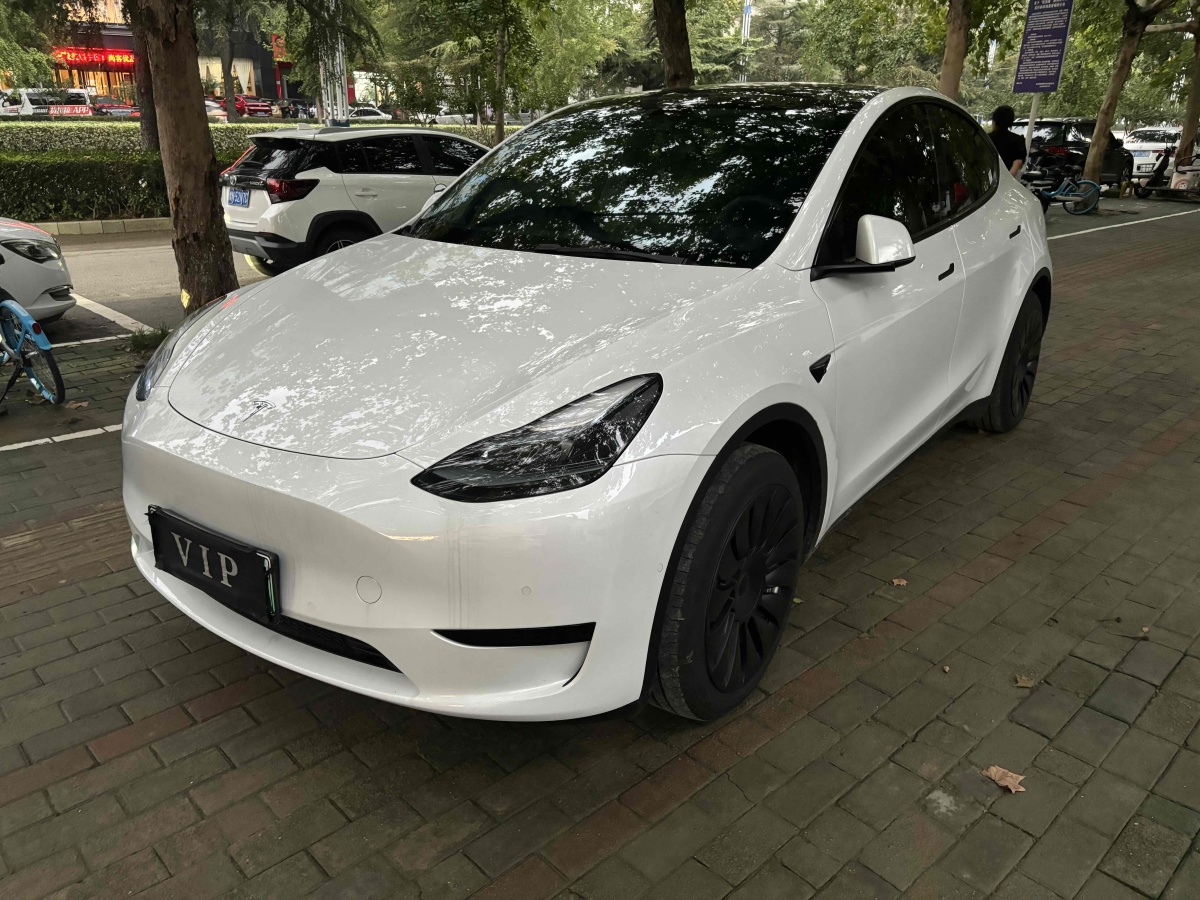 特斯拉 Model Y  2020款 改款 長續(xù)航后輪驅(qū)動版圖片