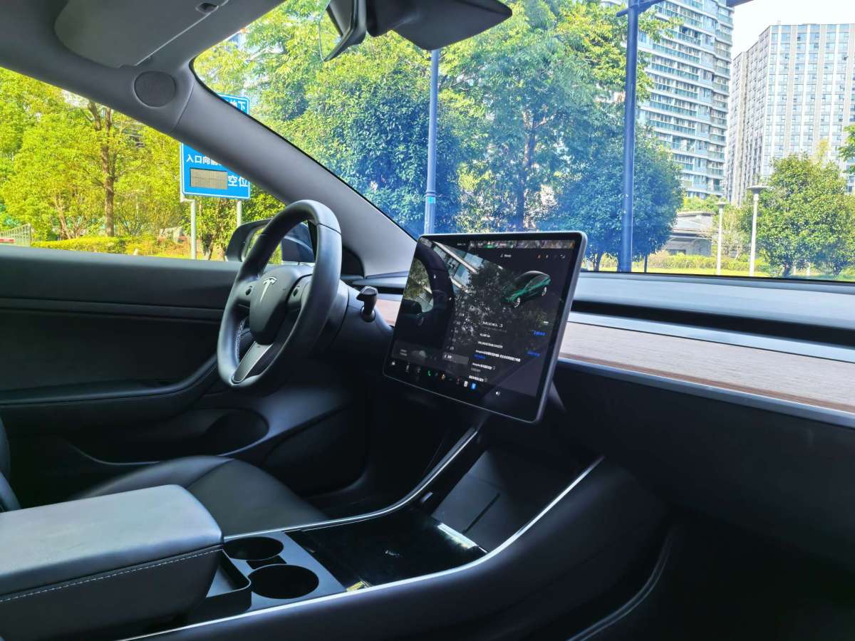 特斯拉 Model 3  2019款 标准续航后驱升级版图片