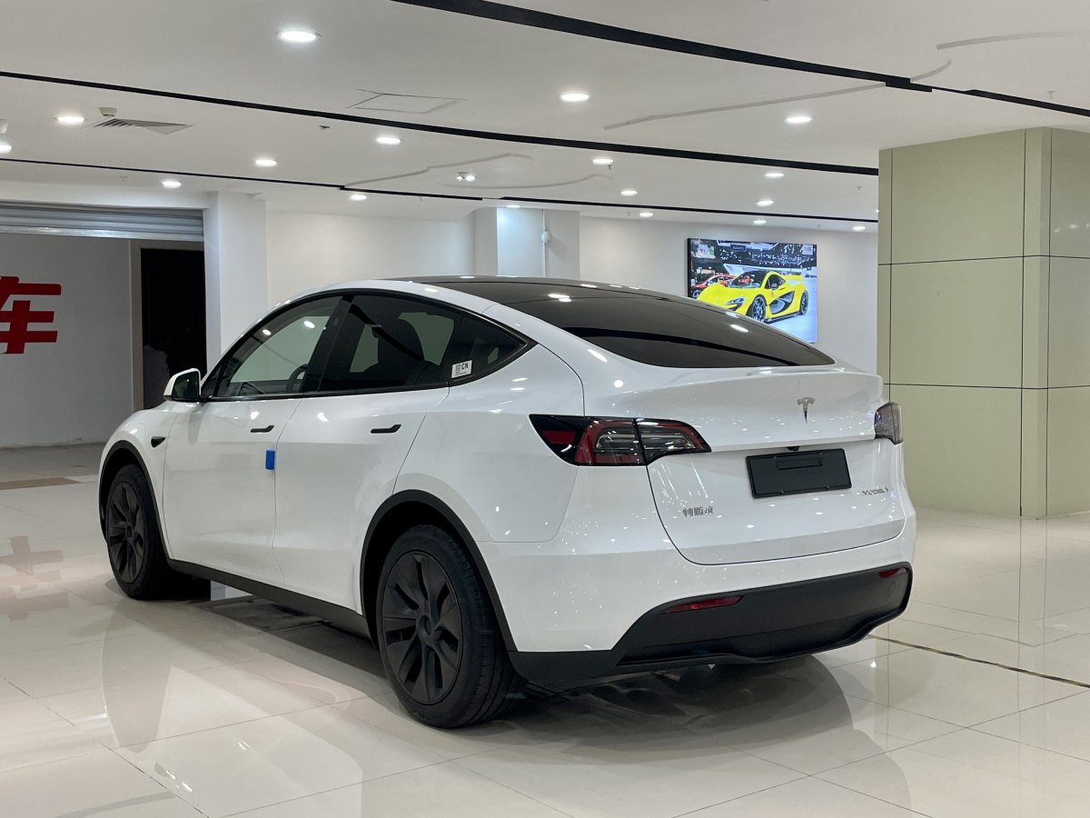 特斯拉 Model Y  2020款 改款 長(zhǎng)續(xù)航后輪驅(qū)動(dòng)版圖片