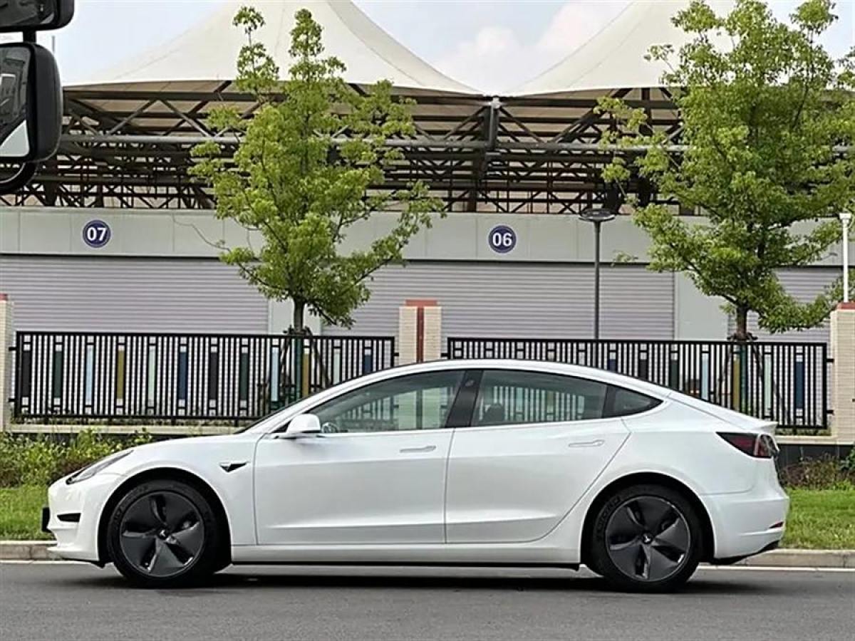 2020年4月特斯拉 Model 3  2019款 標(biāo)準(zhǔn)續(xù)航后驅(qū)升級(jí)版