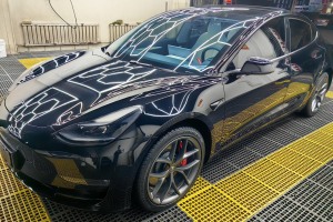 Model 3 特斯拉 Performance高性能全輪驅(qū)動版