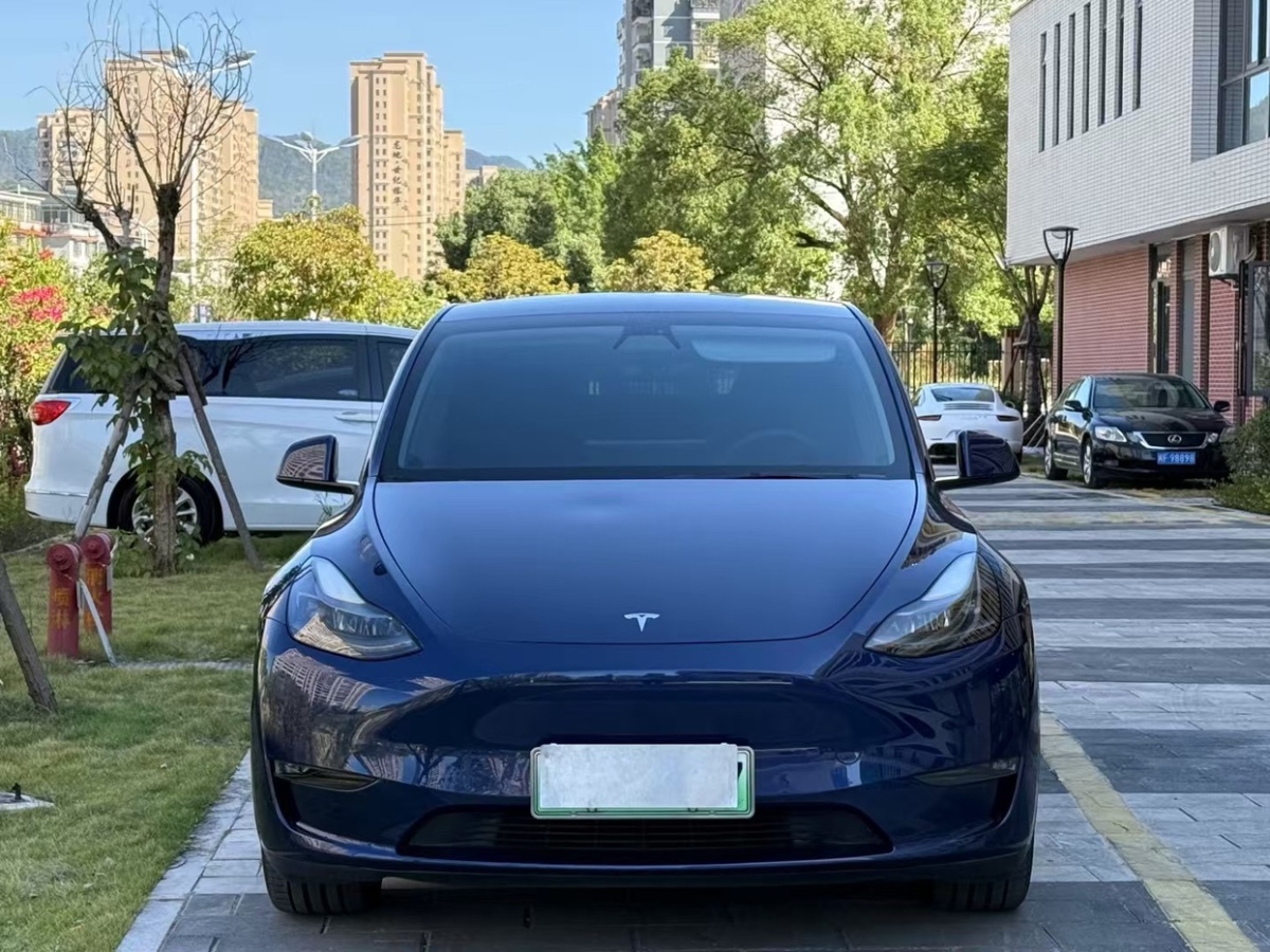 特斯拉 Model Y  2021款 長續(xù)航全輪驅動版 3D7圖片