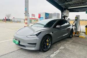 Model 3 特斯拉 改款 標(biāo)準(zhǔn)續(xù)航后驅(qū)升級版