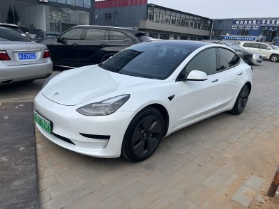 2021年3月 特斯拉 Model 3 標(biāo)準(zhǔn)續(xù)航后驅(qū)升級版圖片