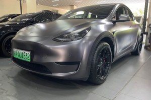 Model Y 特斯拉 改款 后輪驅(qū)動版