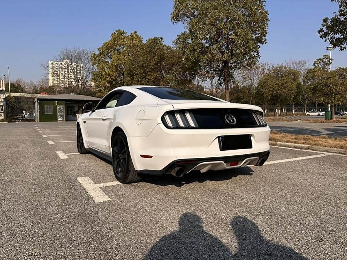 福特 Mustang  2015款 2.3T 性能版圖片