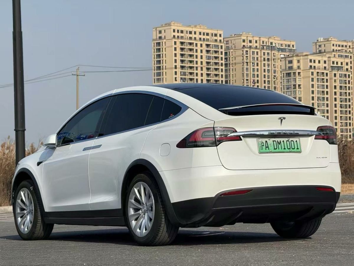 特斯拉 Model X  2020款 Performance 高性能版圖片