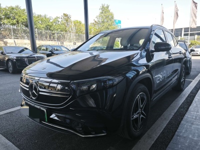 2022年2月 奔驰 奔驰EQA EQA 300 4MATIC 首发特别版图片