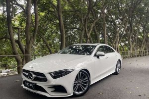 奔馳CLS級 奔馳 改款 CLS 300 動感型