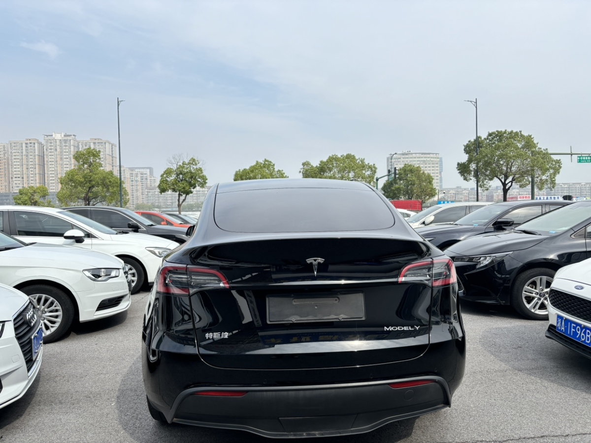 特斯拉 Model Y  2021款 改款 標準續(xù)航后驅(qū)升級版圖片