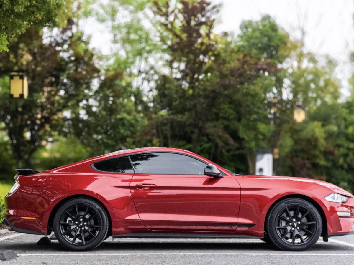 2022年1月福特 Mustang  2021款 2.3L EcoBoost 黑曜魅影特别版