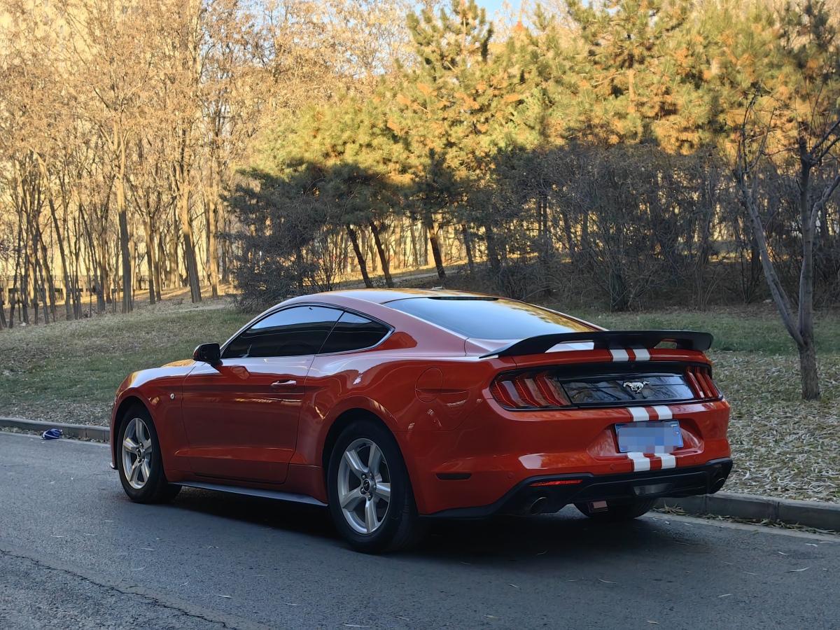 福特 Mustang  2018款 2.3L EcoBoost圖片