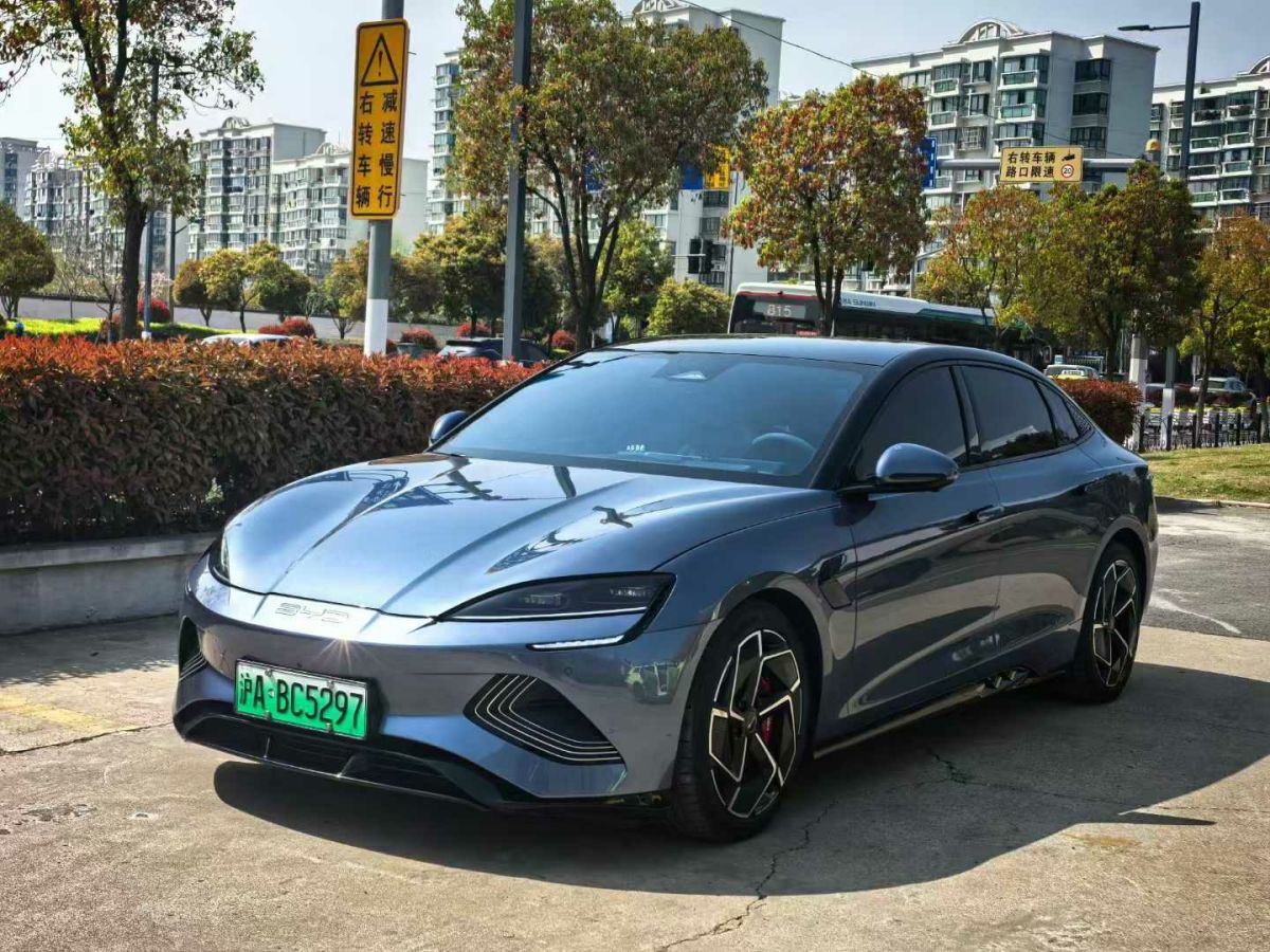 比亞迪 海豹  2022款 700km 長(zhǎng)續(xù)航后驅(qū)版圖片