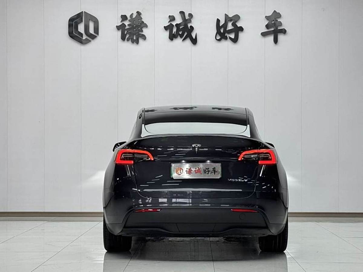 特斯拉 Model Y  2020款 改款 長續(xù)航后輪驅(qū)動版圖片