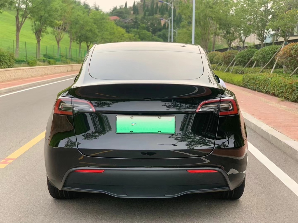 特斯拉 Model Y  2021款 標(biāo)準(zhǔn)續(xù)航后驅(qū)版圖片