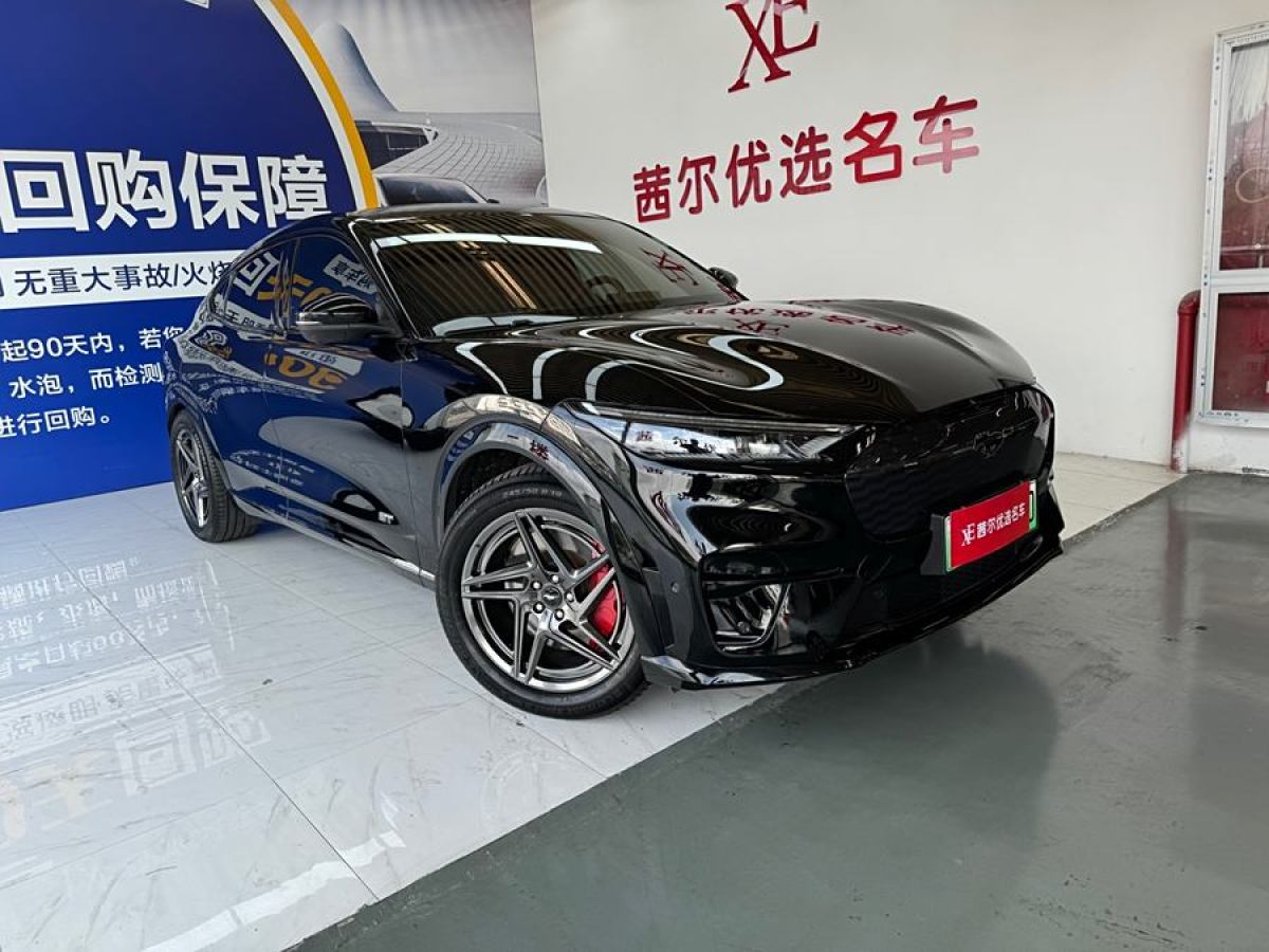 福特 Mustang Mach-E  2021款 GT圖片