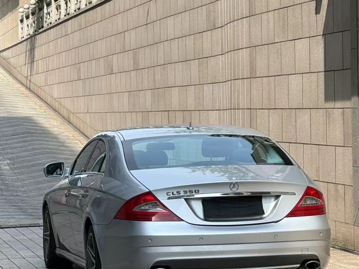 奔馳 奔馳CLS級(jí)  2009款 CLS 350圖片
