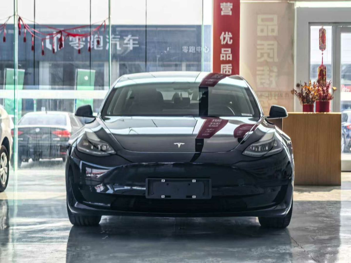 2022年1月特斯拉 Model 3  2022款 Performance高性能全輪驅(qū)動版