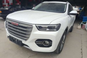 H6 哈弗 換代 紅標(biāo) 2.0T 自動(dòng)兩驅(qū)智尚型