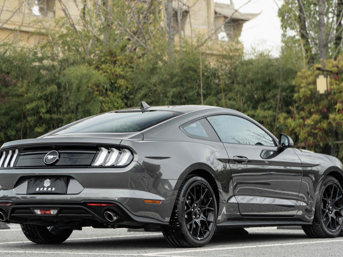 福特 Mustang  2021款 2.3L EcoBoost图片