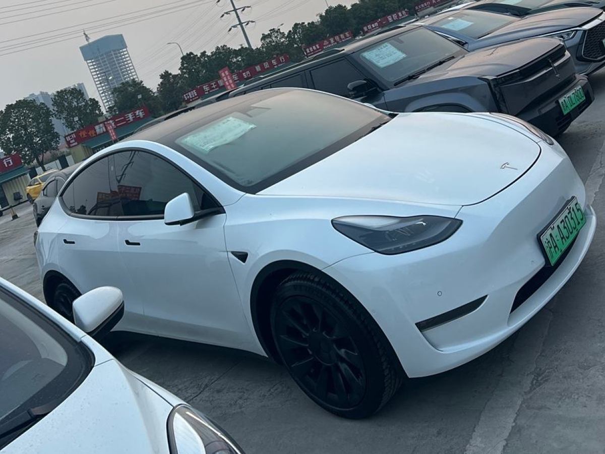 特斯拉 Model Y  2021款 長續(xù)航全輪驅(qū)動版 3D7圖片