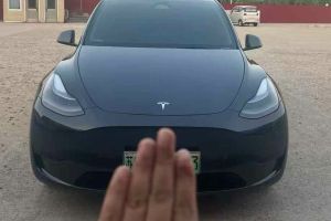 Model Y 特斯拉 Performance高性能版