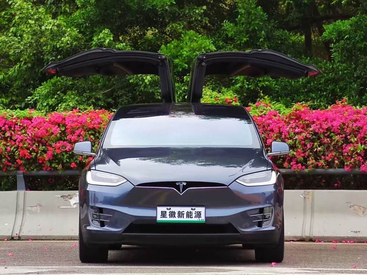 特斯拉 Model X  2017款 Model X 100D 長續(xù)航版圖片