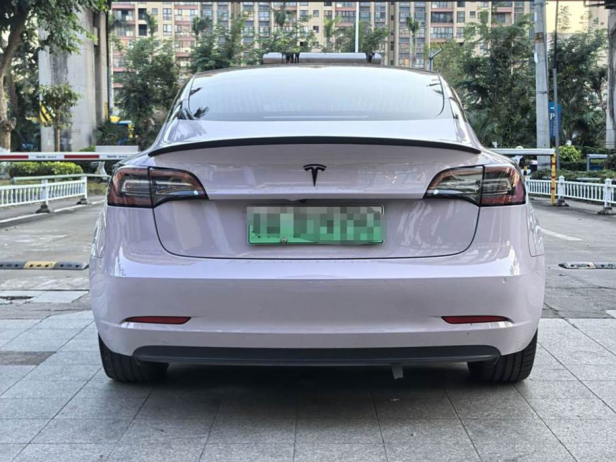 特斯拉 Model 3  2019款 標準續(xù)航后驅升級版圖片