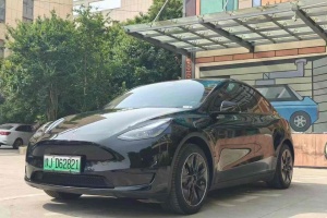 Model Y 特斯拉 改款二 長續(xù)航全輪驅(qū)動版