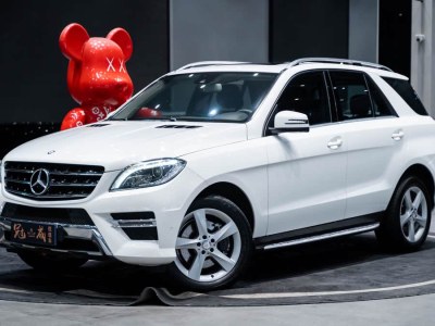2015年6月 奔馳 奔馳M級(進口) ML 320 4MATIC圖片