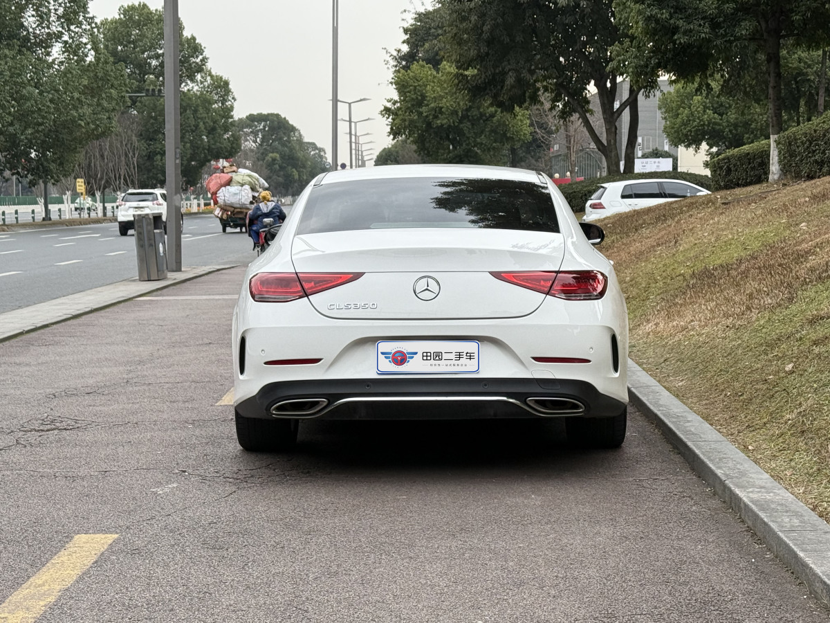 奔馳 奔馳CLS級  2020款 CLS 300 動感型圖片