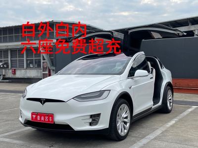 2019年10月 特斯拉 Model X 長續(xù)航版圖片