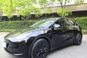 Model Y 特斯拉 后輪驅(qū)動版