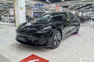 Model 3 特斯拉 標(biāo)準(zhǔn)續(xù)航后驅(qū)升級版