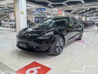 2021年6月 特斯拉 Model 3 標(biāo)準(zhǔn)續(xù)航后驅(qū)升級(jí)版圖片