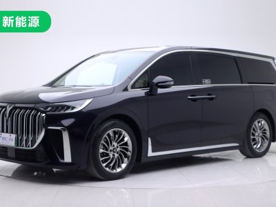 2023年11月 嵐圖 夢想家 PHEV 超長續(xù)航旗艦版圖片