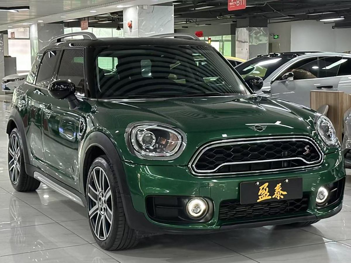 MINI COUNTRYMAN  2019款 2.0T COOPER S ALL4 藝術(shù)家圖片