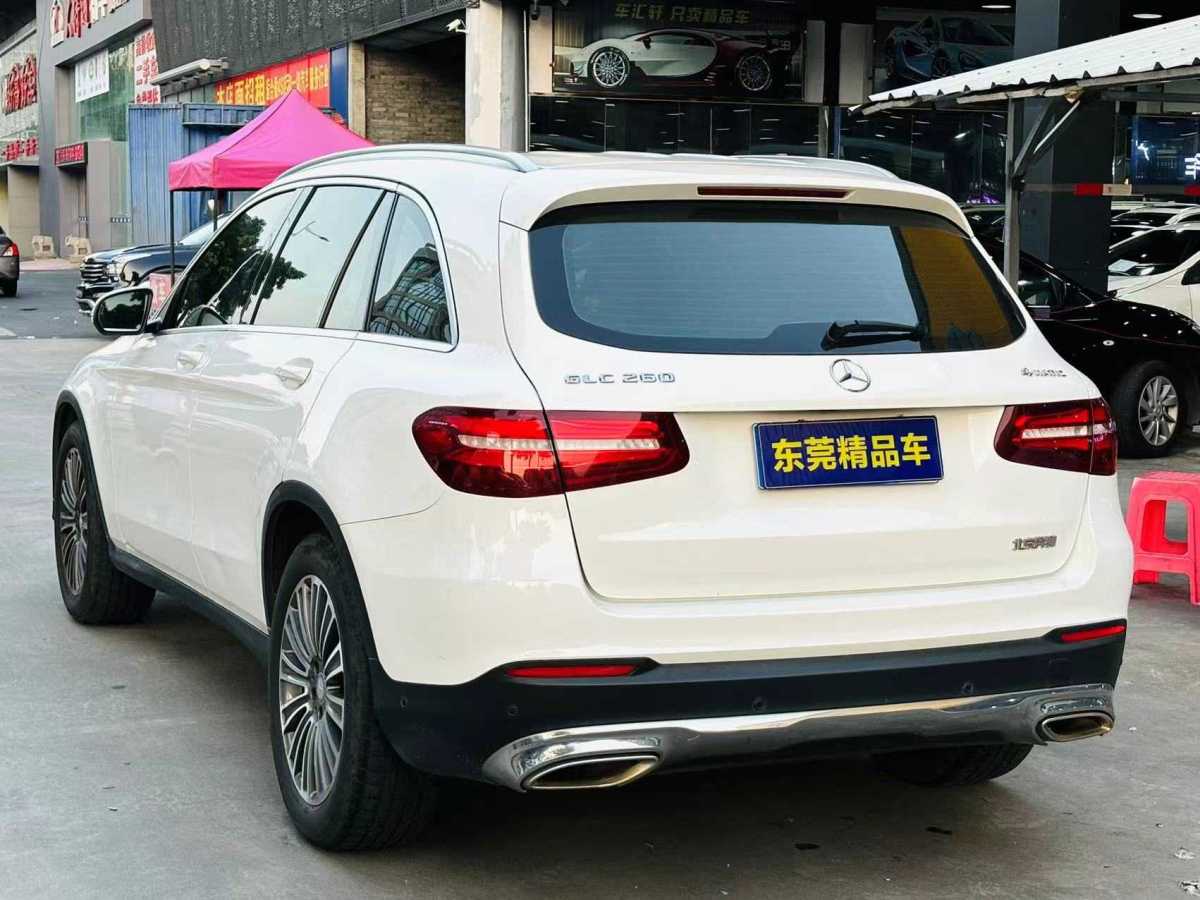 奔馳 奔馳GLC  2016款 GLC 260 4MATIC 動感型圖片