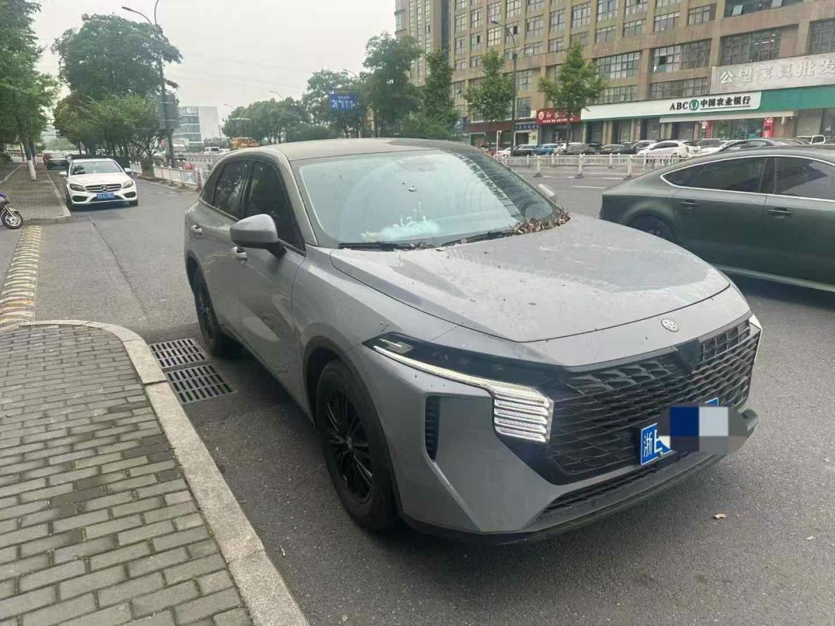 啟辰 啟辰大V  2022款 260T 定制版?愛豆圖片