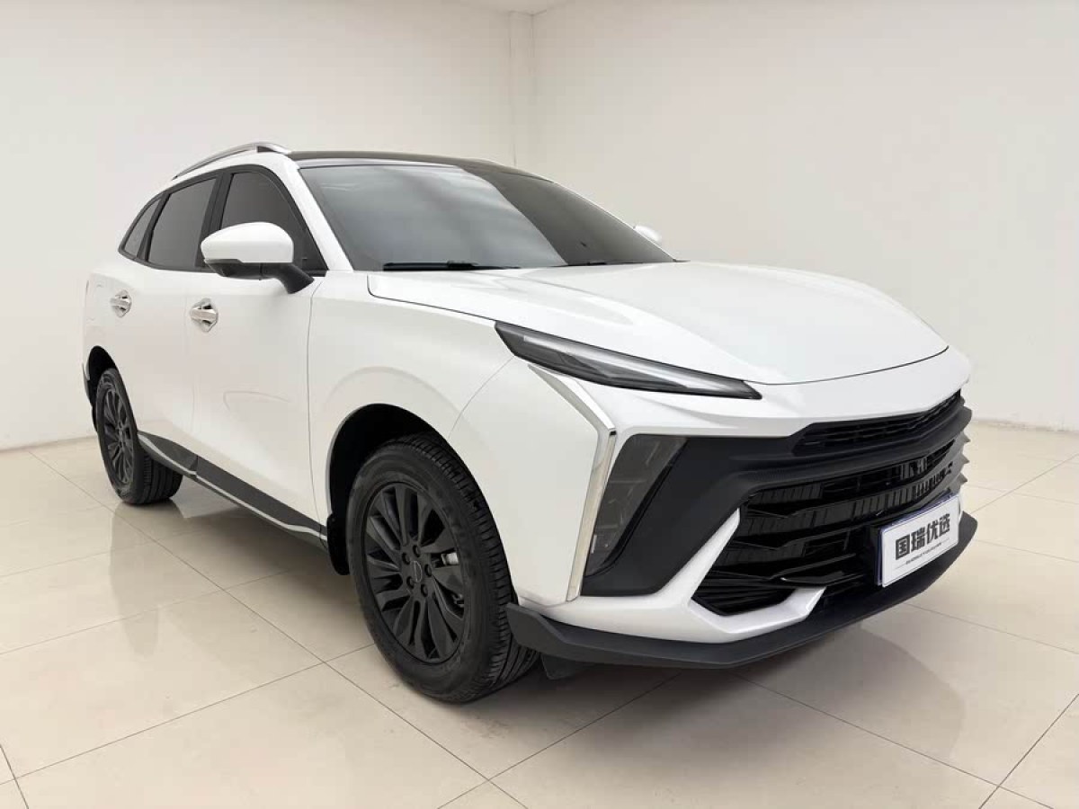 東風(fēng)風(fēng)行 風(fēng)行T5 EVO  2024款 1.5TD DCT星空版圖片