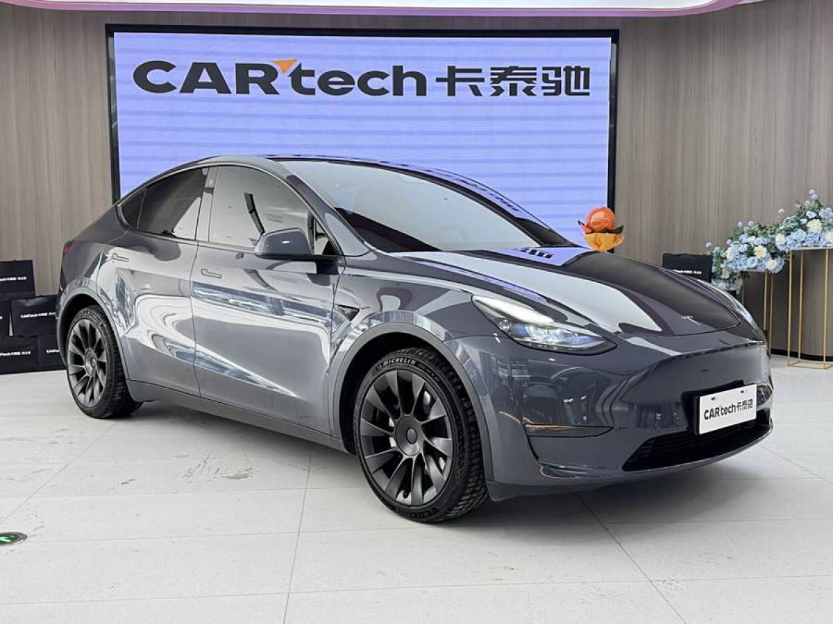 特斯拉 Model Y  2021款 改款二 長續(xù)航全輪驅(qū)動版圖片