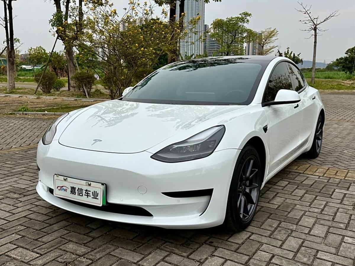 2021年3月特斯拉 Model 3  2021款 改款 標(biāo)準(zhǔn)續(xù)航后驅(qū)升級版