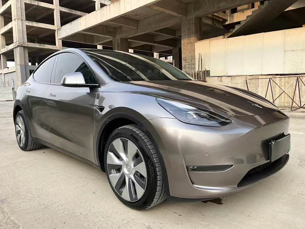 特斯拉 Model Y  2021款 改款 Performance高性能全輪驅(qū)動版圖片