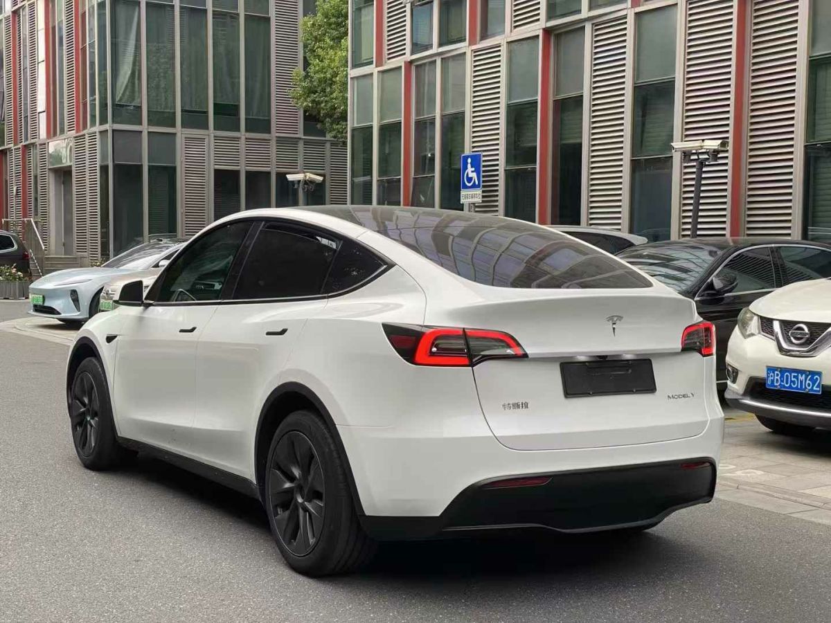 特斯拉 Model Y  2024款 Performance高性能版圖片