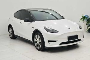 Model Y 特斯拉 Performance高性能全輪驅(qū)動(dòng)版