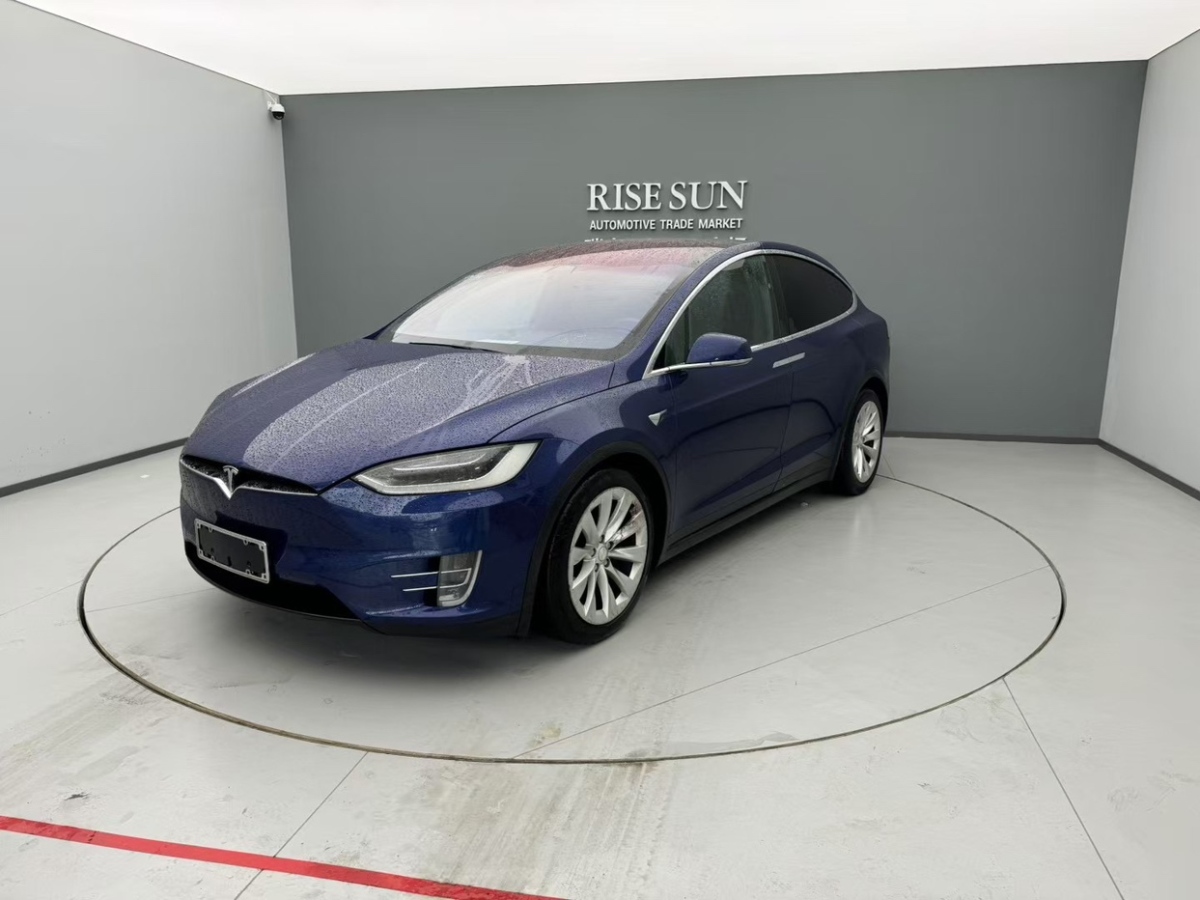 特斯拉 Model X  2016款 Model X 75D圖片