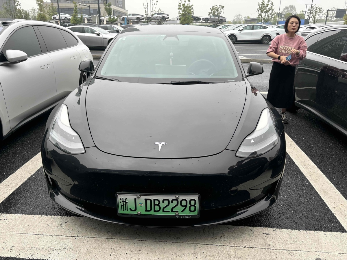 特斯拉 Model 3  2021款 標準續(xù)航后驅(qū)升級版 3D6圖片