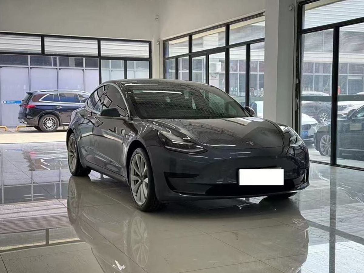 特斯拉 Model 3  2019款 標準續(xù)航后驅(qū)升級版圖片