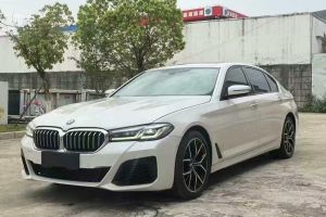 寶馬5系 寶馬 530Le 2.0T 豪華套裝